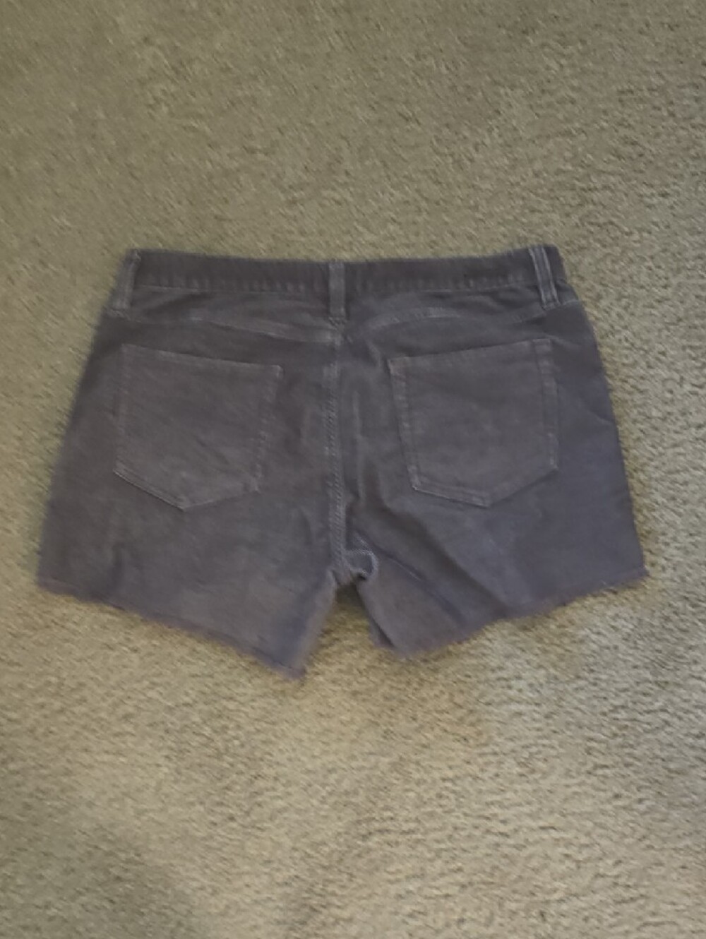 Carve Designs Plum Dogtown Shorts - Picture 4 of 4